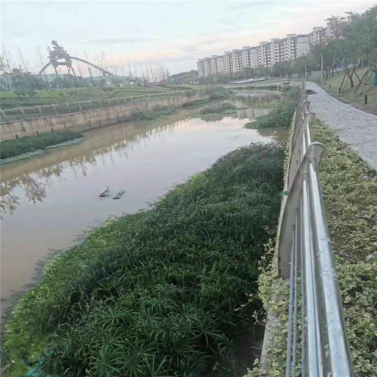 绿景 铁岭方形浮岛定制 景区浮岛定制