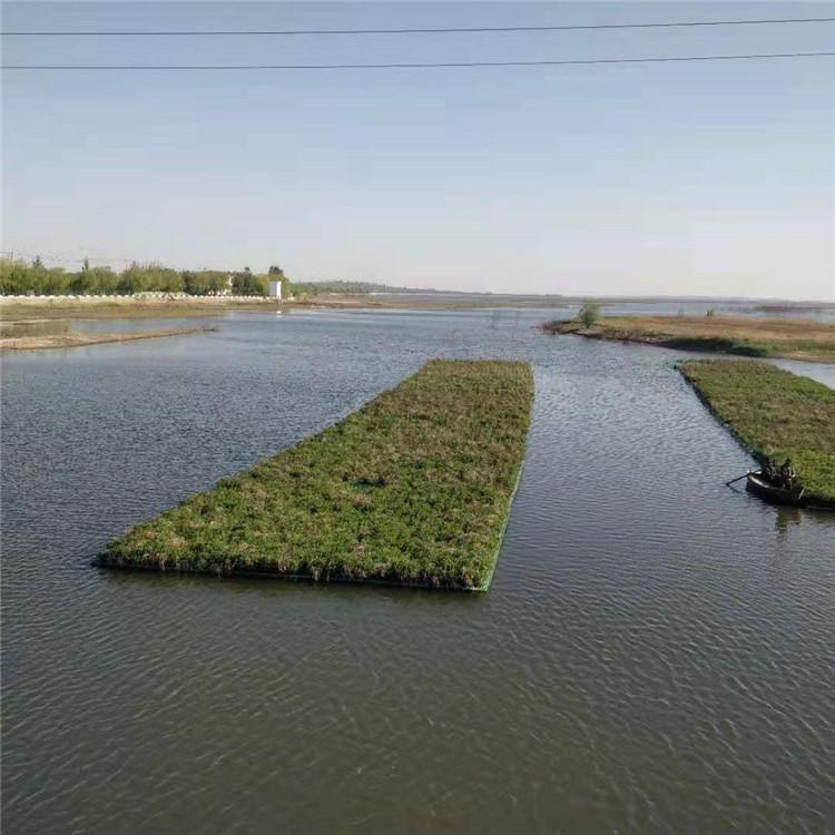 绿景 丹东人工生态浮岛厂家 人工生态浮岛厂家