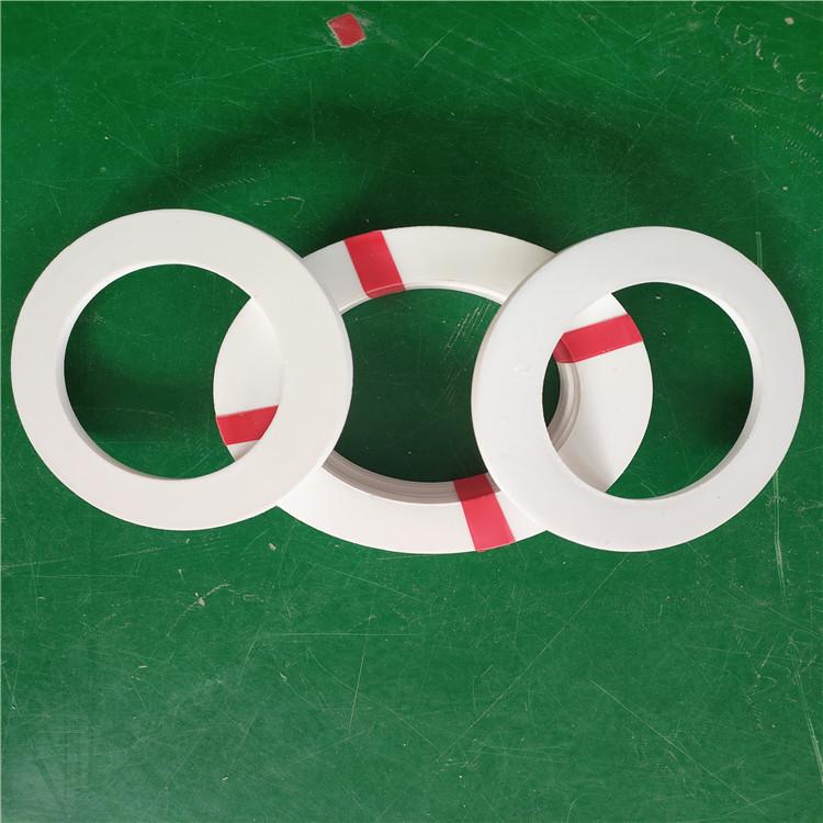 耐高温四氟垫 耐磨防腐蚀 非标定制 荣安密封