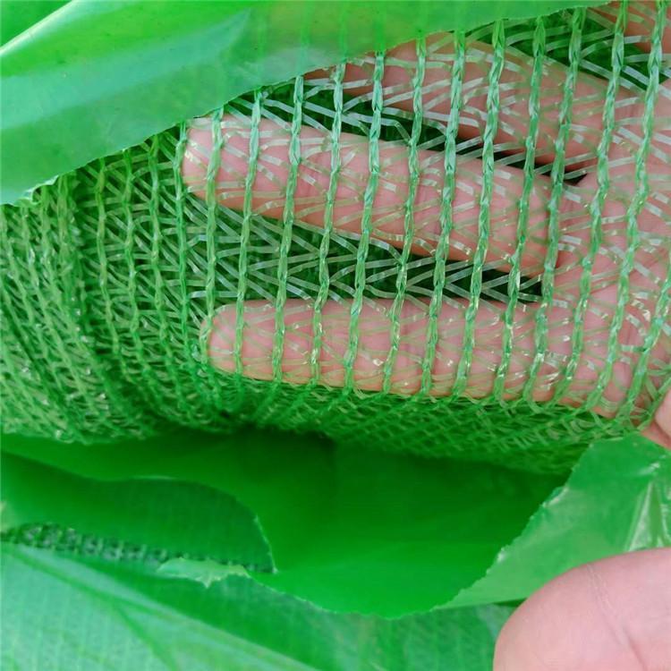 6针绿色盖土网 建筑工地防尘网绿化网 遮阳防沙绿网 防尘盖土网