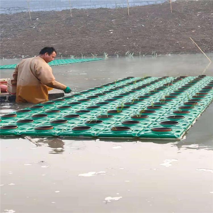 人工浮岛 绿化养护 水景观赏 人工浮岛批发