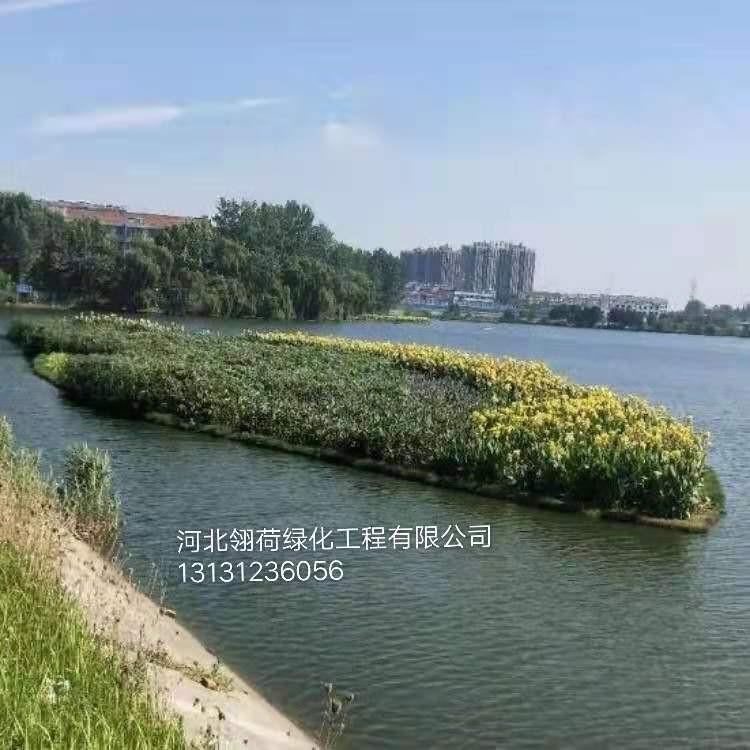 水生植物人工浮岛 绿化改造工程 景观浮床