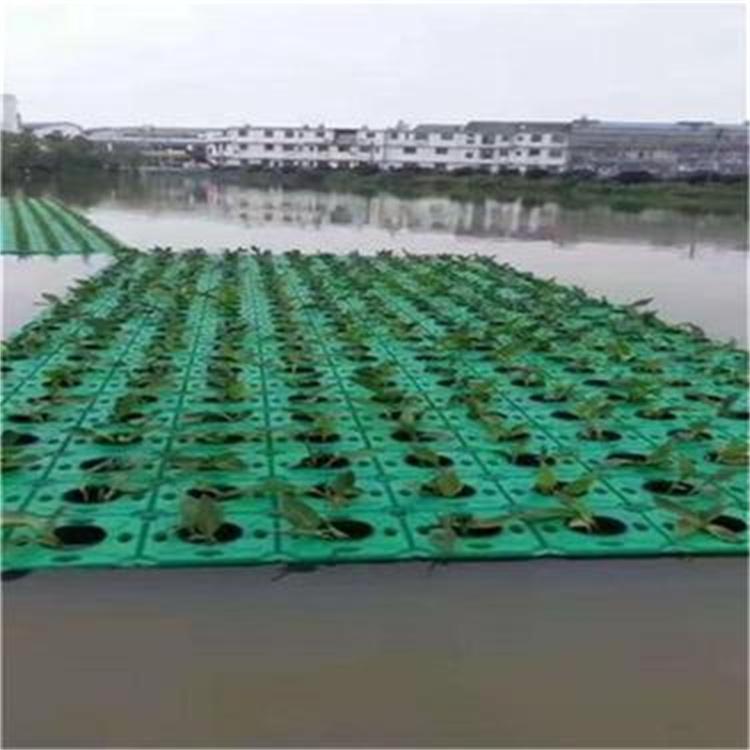人工生态浮岛批发 湿地人造浮床定制 设计新颖 