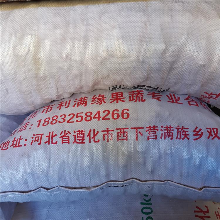 栗子批发厂家 正宗燕山板栗种植基地 常年供应板栗 20年品质传承