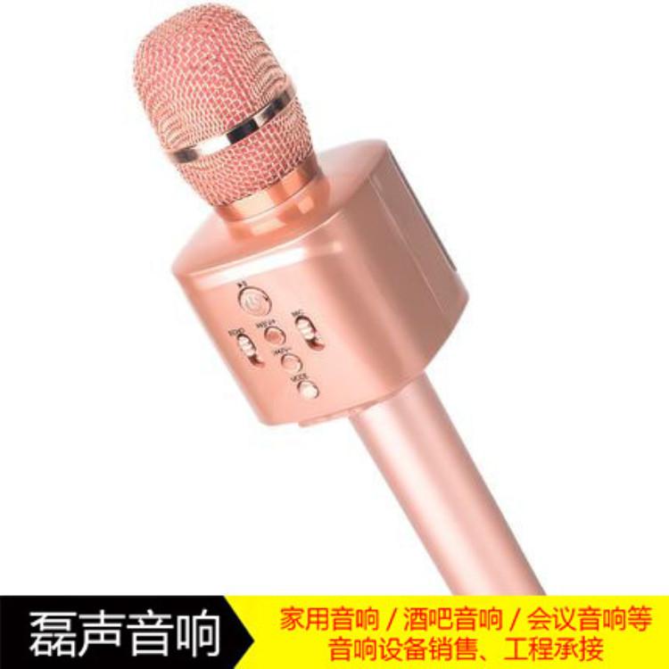 张家口 阳原家用高档音响  磊声 KTV音响设计安装 现货供应