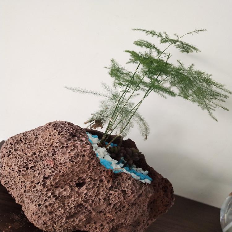 滤料火山石园艺火山石颗粒烧烤火山石育苗多孔火山石磨脚石