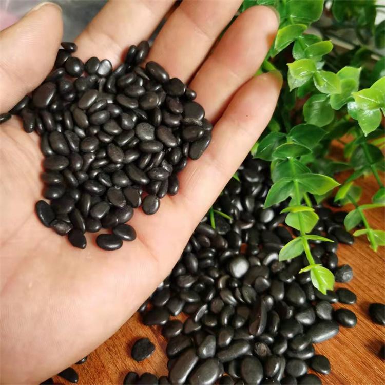 鱼缸铺低铁胆沙黑工沙庭院装饰黑色雨花石