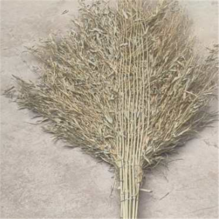 耐环保竹扫把 竹把笤帚 刘天  厂家供应 工地院子扫帚