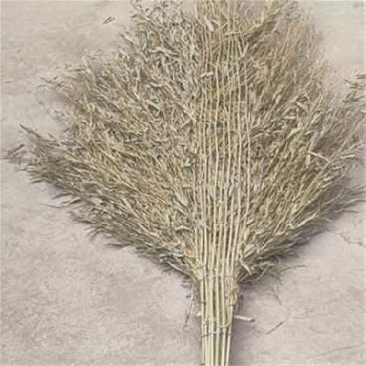 手工竹扫帚 竹把笤帚 刘天  量大从优 环卫扫把