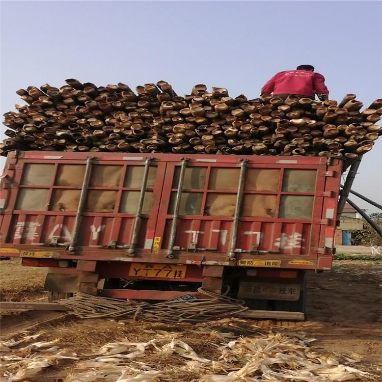 竹跳板厂家 竹跳板竹夹板 刘天 各种规格 小毛竹竹跳板