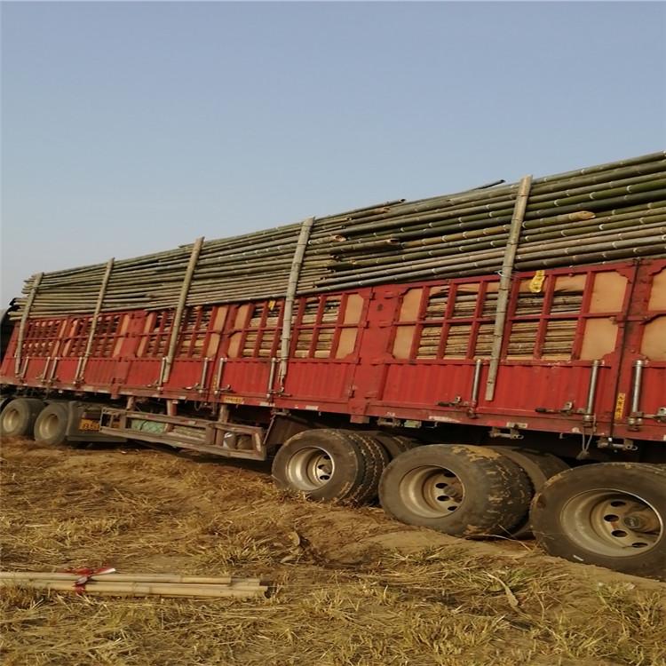 竹架板毛竹片 工程建筑竹跳板 刘天  厂家现货 竹架板竹跳板