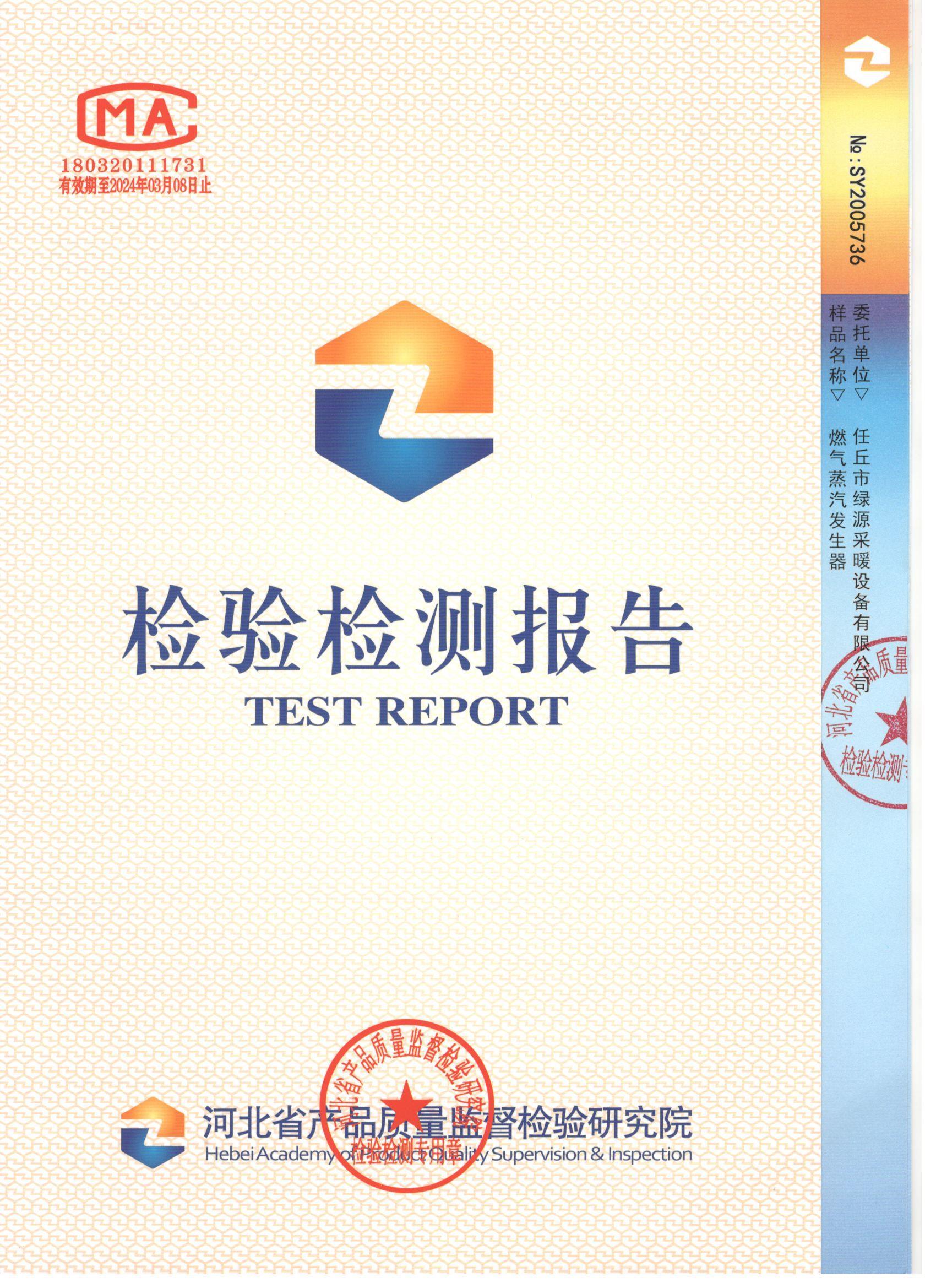 燃气蒸汽发生器检验报告