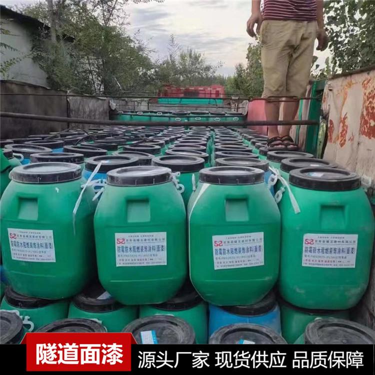 隧道防霉阻燃面漆 涂料色彩柔和漂亮 隧道防霉阻燃油漆报价