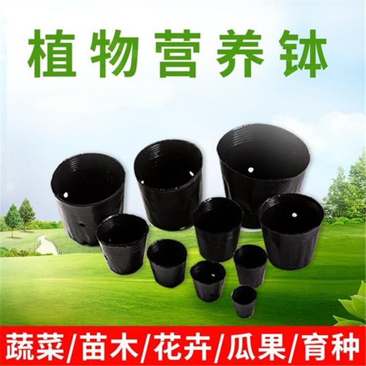 厂家直供 庆成塑料营养钵 PE软塑材料 耐腐蚀 牢固耐用
