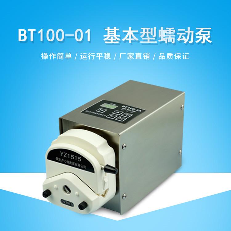 BT100-01蠕动泵 齐力恒流泵 蠕动泵bt100 简易流量定量液体灌装机