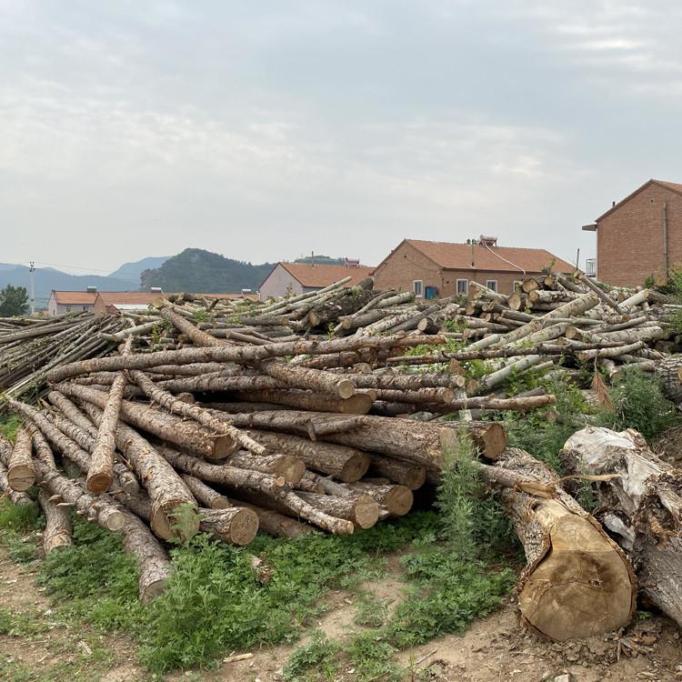 原木生产厂家