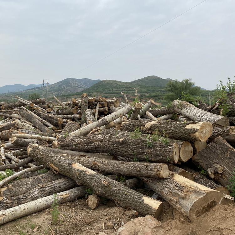 原木厂家批发价格