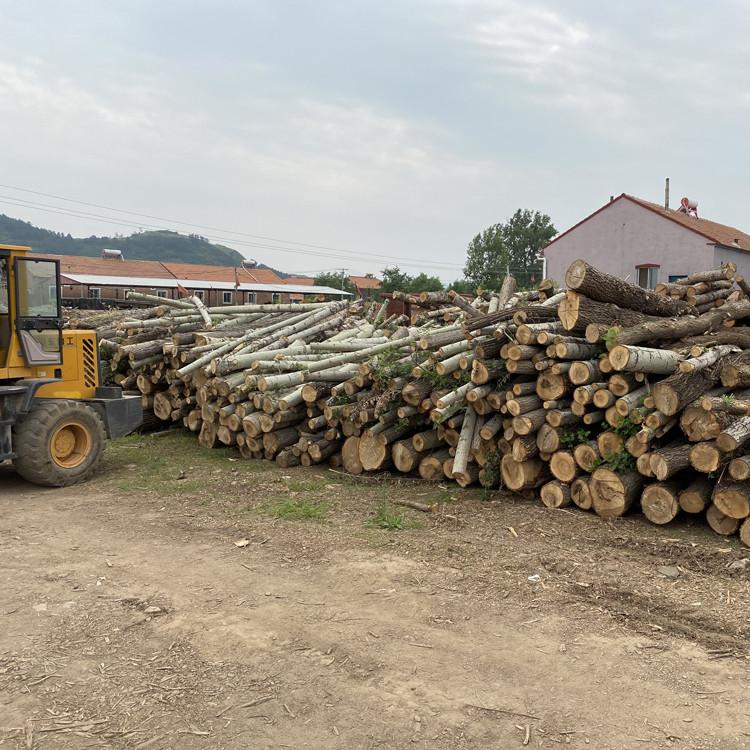 原木批发价格