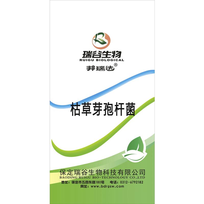 枯草芽孢杆菌 1000亿/克 微生物菌剂 微生物菌种 微生物肥  生物有机肥 原料菌种 菌粉