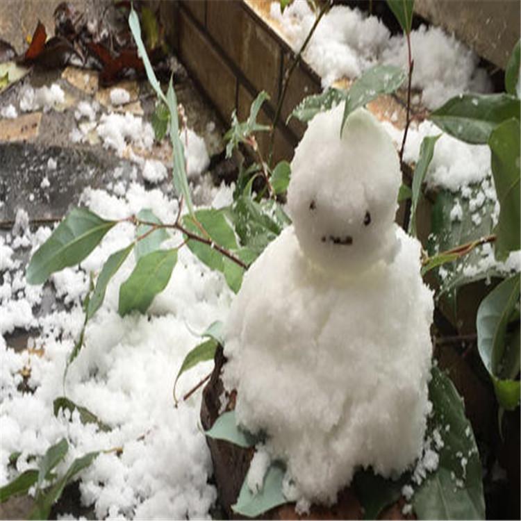 人造雪粉圣诞人工雪粉仿真雪粉diy人造雪圣诞创意假雪橱窗