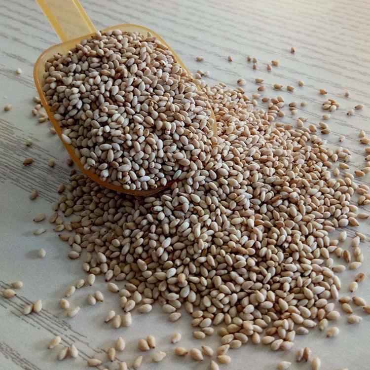 玉兴厂家批发 熟芝麻 白芝麻批发