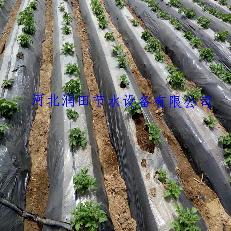 滴灌带灌溉系统安装