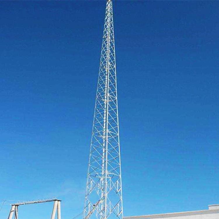 批发 生产避雷塔瑞远厂家欢迎致电