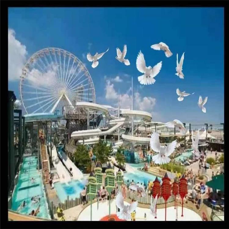 城市鸟巢  广场鸽楼   公园鸽楼