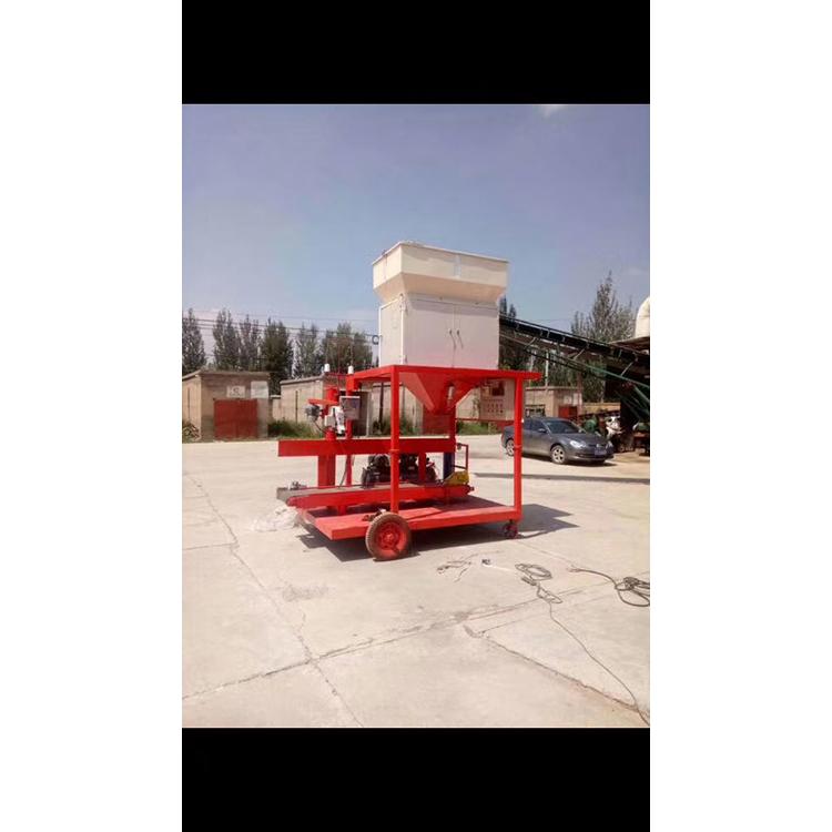 天津颗粒大袋定量打包秤 超重报警检重秤 自动计量煤炭包装机  森顿