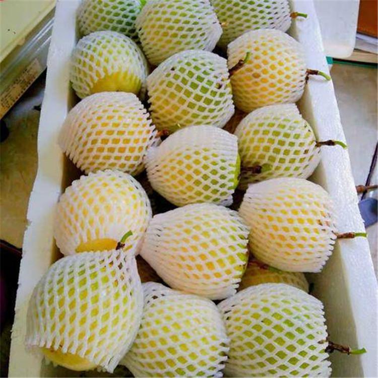 蔬菜网套机设备厂家    水果蔬菜网套