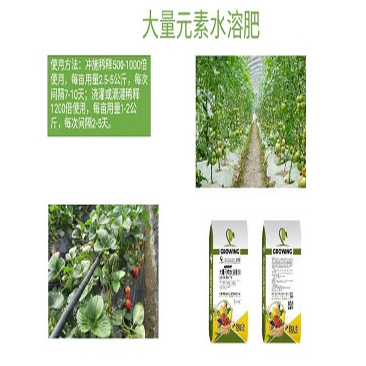 源沃生物大量元素水溶肥