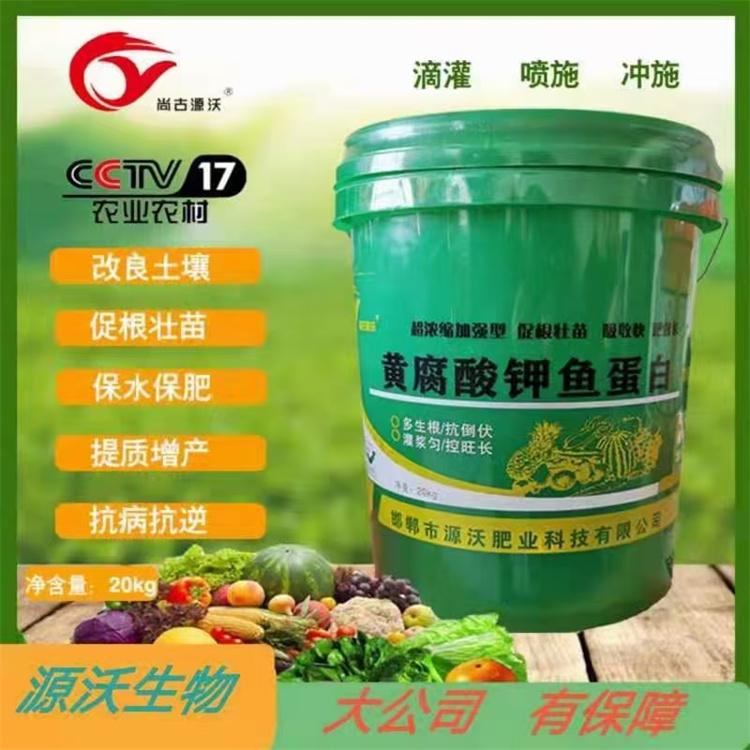 黄腐酸钾鱼蛋白 促根壮苗抗病抗逆 厂家直销