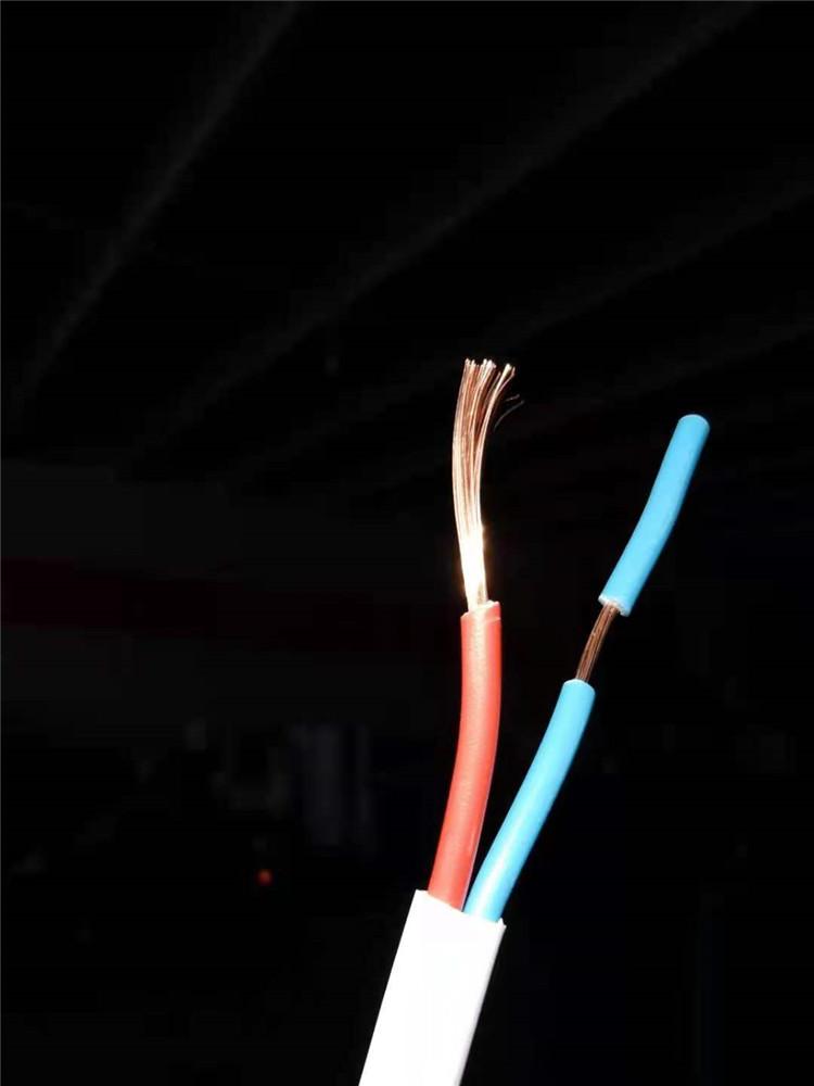 辉煌永兴厂家出售RVVB白色国标护套线2*1