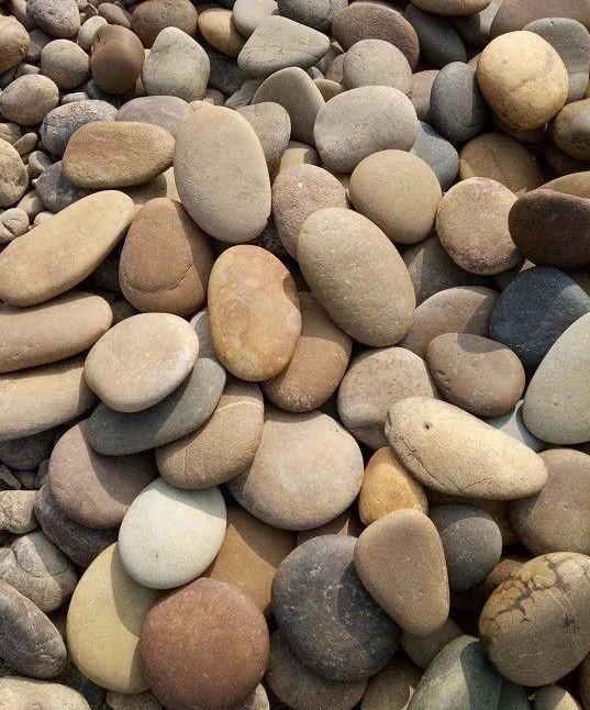 白色鹅卵石 机制鹅卵石 水处理变压器铺路用天然鹅卵石 大号鹅卵石