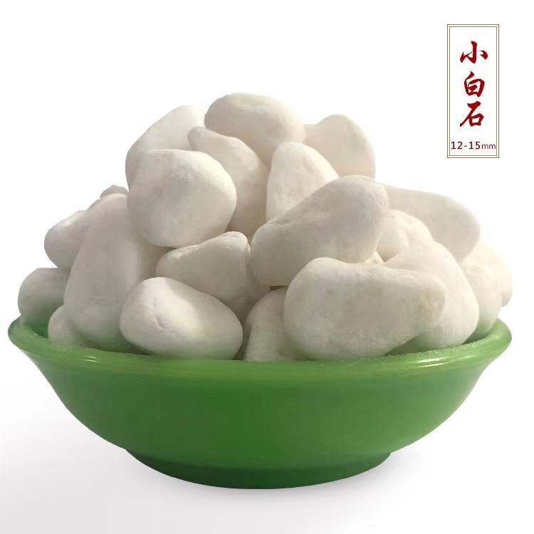 白色鹅卵石 机制鹅卵石 水处理变压器铺路用天然鹅卵石 大号鹅卵石