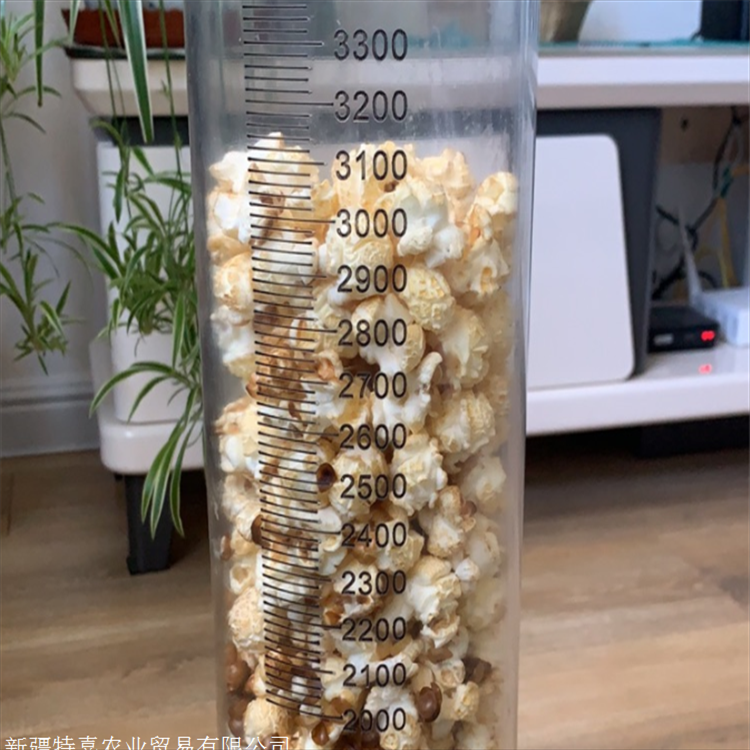 球形蝶形爆米花玉米粒 电影院KTV小圆商用专用爆裂原料50磅玉米粒