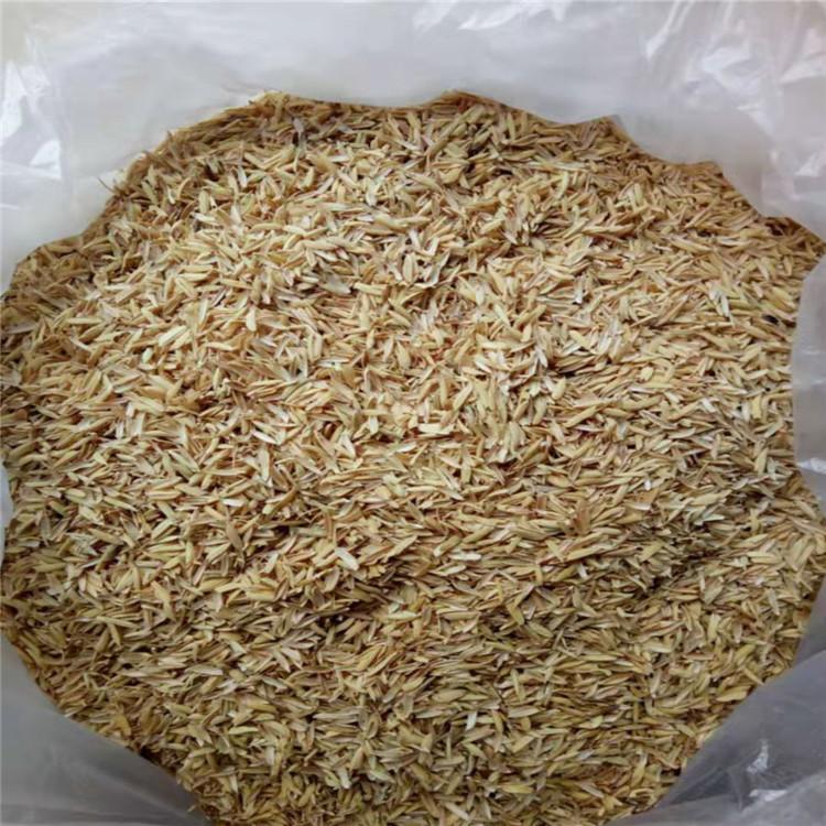 常年大量供应新鲜填充稻壳酿酒 除尘 压缩压块稻壳 牧场垫料