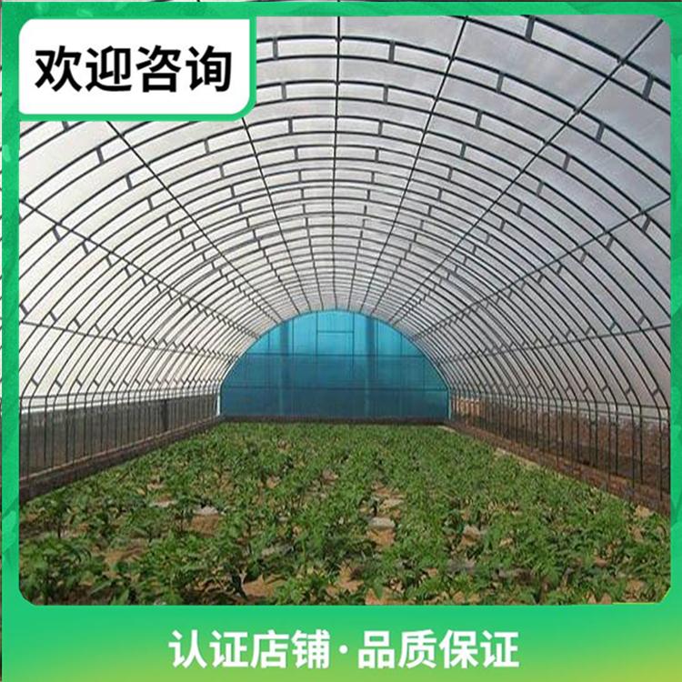 蔬菜日光温室建设厂家
