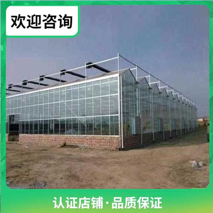 智能温室大棚建设厂家