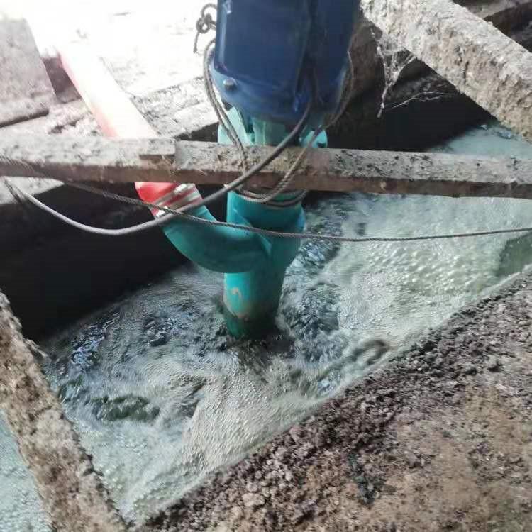 双润 小型螺旋蛟龙抽粪泵报价 蛟龙泵 长期供应 