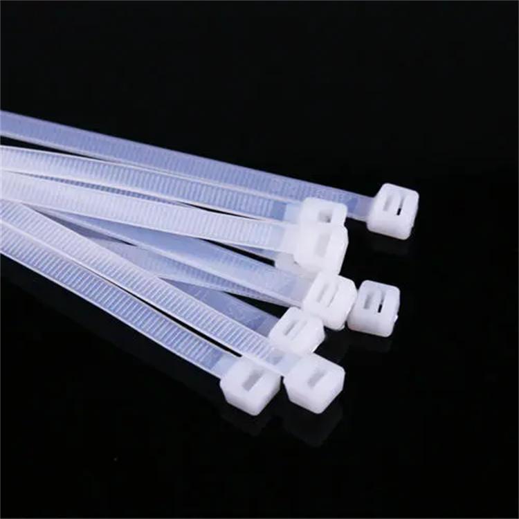 尼龙扎带 专业批发 种类齐全 欢迎选购