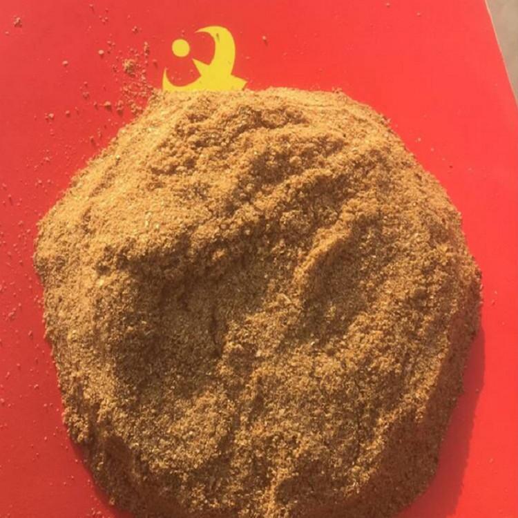 发酵棉粕 工厂直销