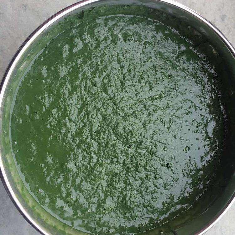 玻璃鳞片胶泥 污水池防腐胶泥 厂家直销