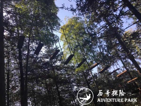 重庆四面山景区丛林飞跃树上穿越拓展项目完美收官