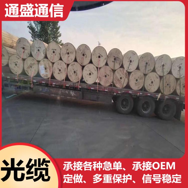 通盛6芯单模铠装光缆GYTS6芯光缆 现货国标6芯单模光纤线缆