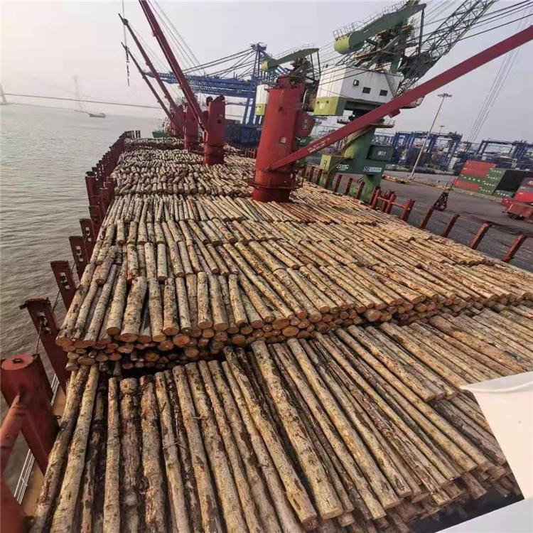 供应厂家 建筑木方 量大从优 欢迎来电咨询