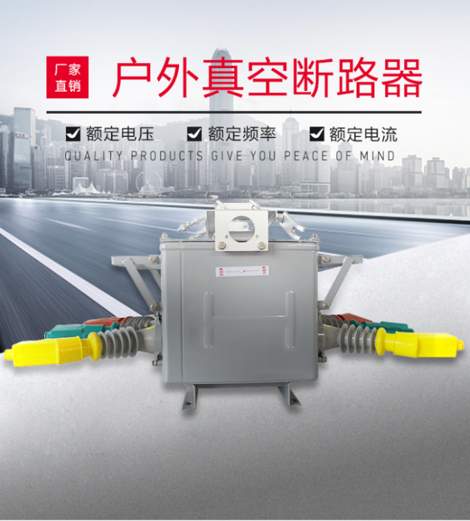 河北厂家直销 ZW20B-12/630A 1250A户外高压真空断路器 柱上开关
