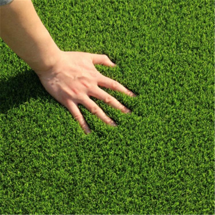 幼儿园操场足球场人造草坪  人工草皮