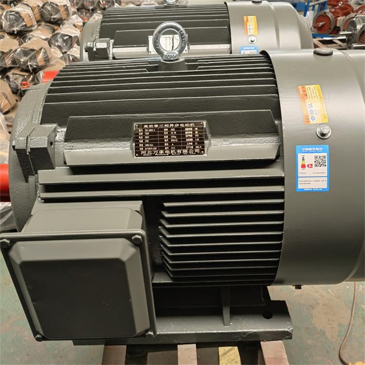定制批售风机水泵搅拌机可用2-12国标YE3高效率电动机