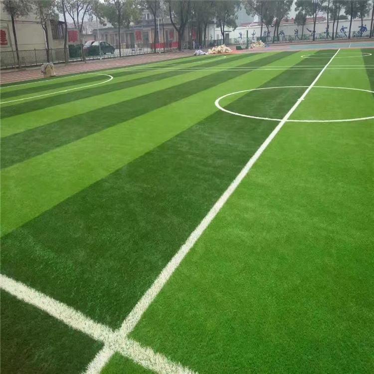 人造仿真草坪地毯幼儿园草坪婚礼展览运动人工草坪塑料假草皮墙面-文达体育